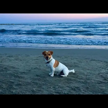 Le Stanze Di Otello Bed and Breakfast