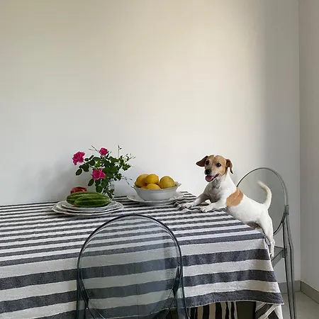 Bed and Breakfast Le Stanze Di Otello Ruffano